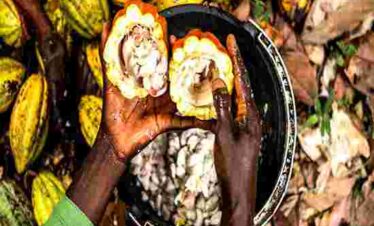 1 Day Classic Zanzibar Spice Tour
