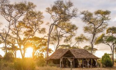 3-Day Best Tanzania Safari Experience